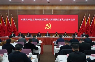 开拓进取、攻坚克难、勇毅前行，加快建设社会主义现代化国际大都市的枢纽门户！青浦区六届区委九次全会举行