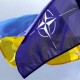 乌国防部：乌克兰加入北约联合作战实验室网络