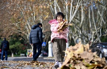 杭州的浪漫：落叶不扫，归于诗意