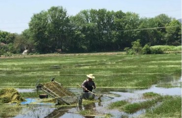 安徽：特色产业助力乡村振兴