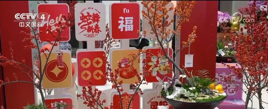 江蘇蘇州：年宵花迎來銷售旺季 推出系列購花服務(wù).jpg