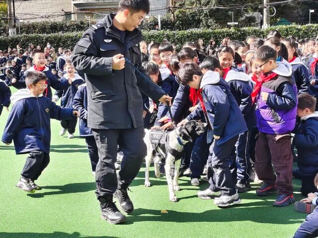 微信图片_2025-02-18_123442_620.jpg