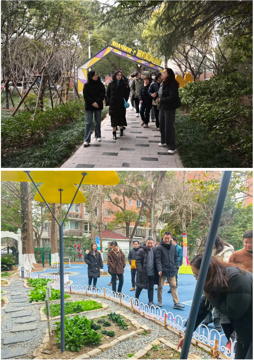 观察团.png
