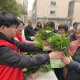 科创“雁阵”崛起 创新生态“繁茂”