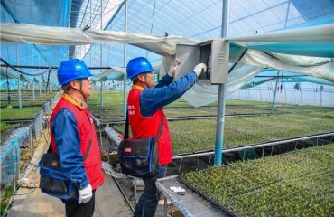 开展电路巡查 护航农业生产