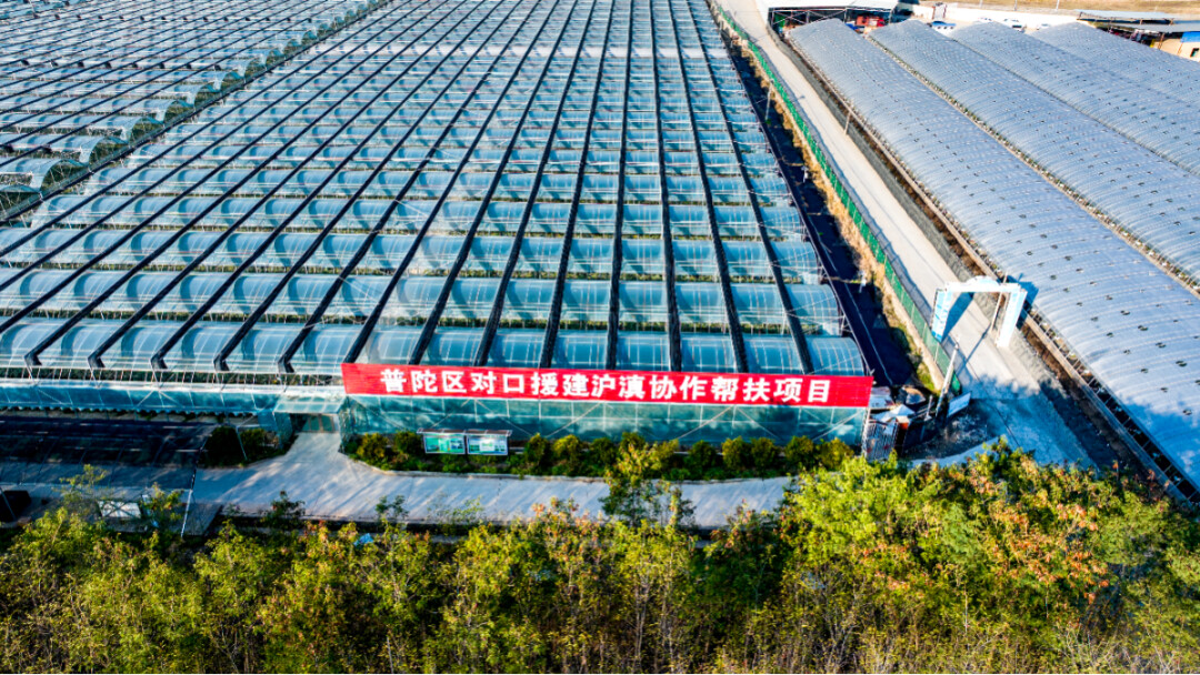 普陀援建金地農(nóng)業(yè)2.jpg