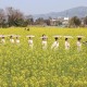 松门卫城乡村文化 艺术年启动