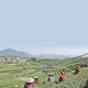 上城：龙坞茶镇引领“茶叶+”产业新潮流