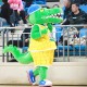 “萌鳄”喊你来起名！合肥文旅篮球俱乐部吉祥物征名活动正式启动