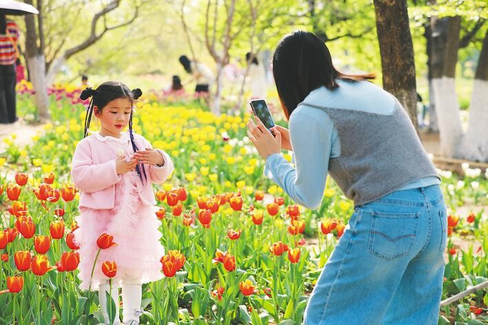 4月3日，合肥植物園繁花滿園，游客樂享美麗春光。通訊員 解光文 攝