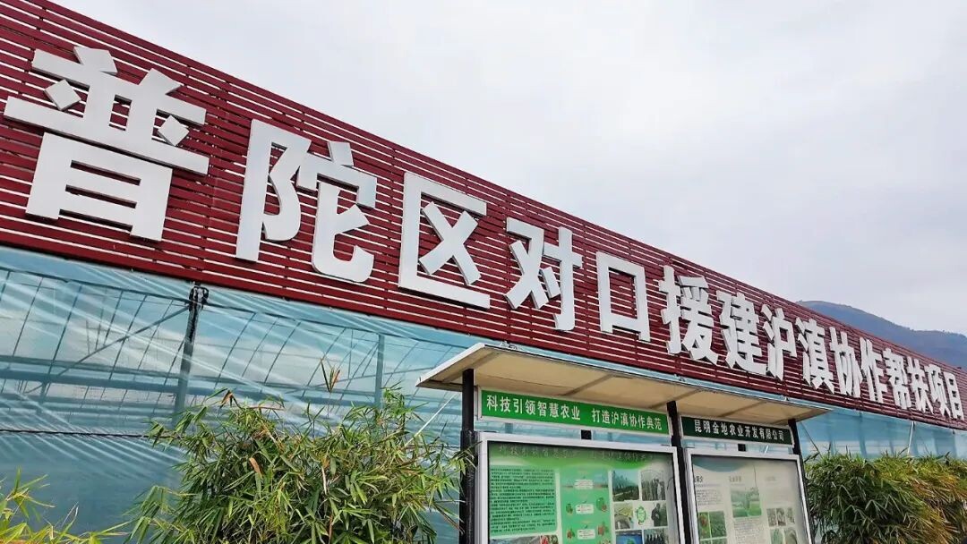 17d6f8d5eba840d79a6897996d1e5d44.jpg