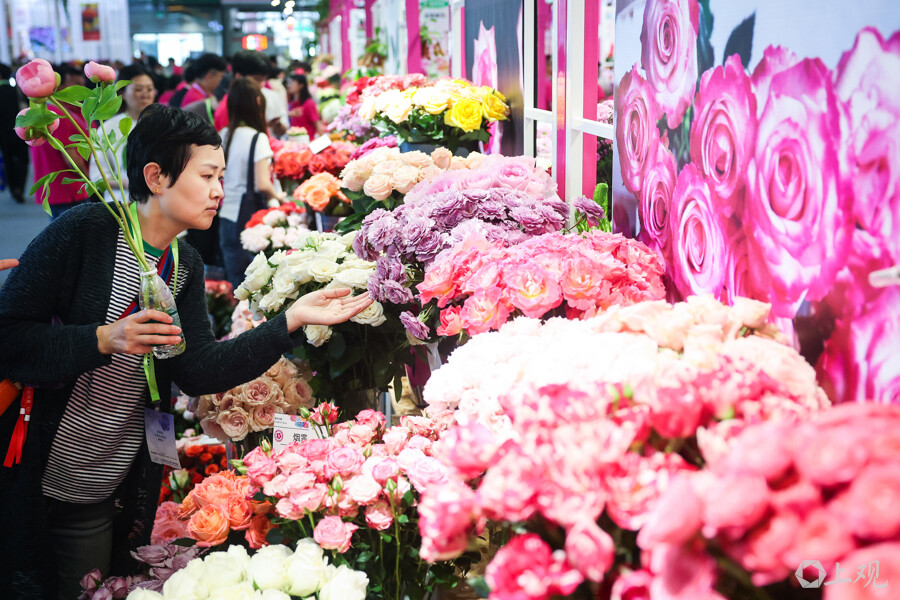 參觀者在鮮花展品前駐足欣賞.jpg