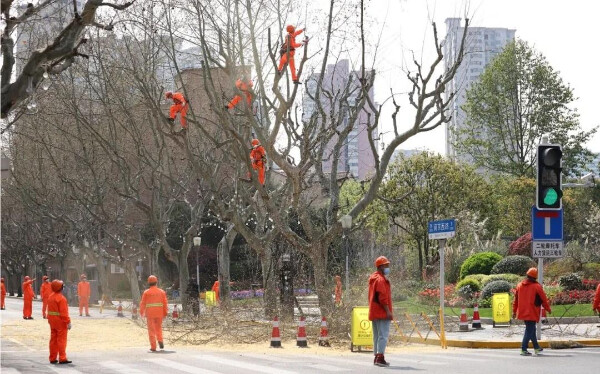 微信圖片_2025-04-14_085154_408.png