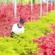 靖江市企业家协会召开联络员工作会议