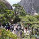 “五一”假期第一天：黄山风景区春色如画，多彩活动绘就假日盛景