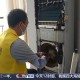 大市场 大活力丨特色“补贴”贴出消费新动能 “万亿级”市场潜力持续释放