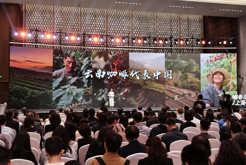 image (15).png