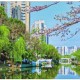 杭城又多一处诗意美景 快去下塘河生态廊道打卡