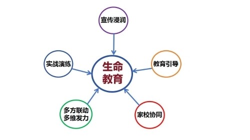 s_e712246d9df34fc5b715132753f0cccf.jpg