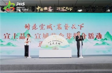 从深山茶园到国际展台，供销力量引领宣城茶叶“出圈”