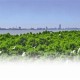靖江市生物多样性“家底”日渐丰厚 发现1325种野生动植物 长江靖江段已稳定栖息42头江豚
