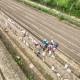 靖江市公开征集涉企安全生产执法检查突出问题线索 “硬核”护企，有乱象可举报！