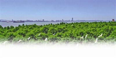 孤山镇开展民法典 宣传月系列活动