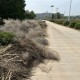 “为高铁建设贡献一份力量，很自豪！” 我市各地有序推进盐宜铁路征迁工作