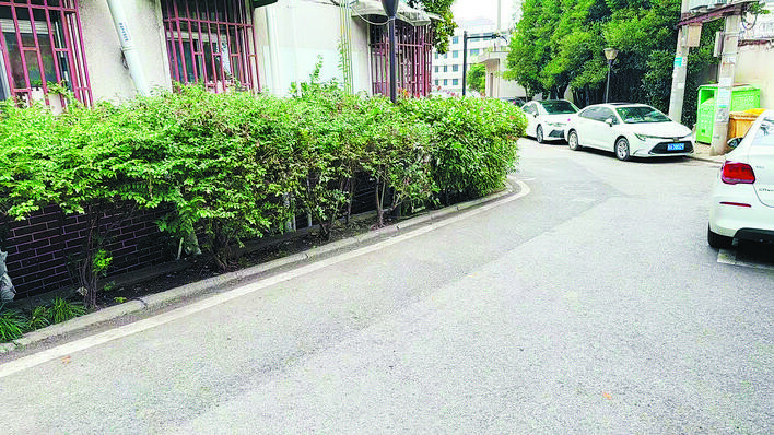 金湖二村小區(qū)經(jīng)過整治，道路整潔。