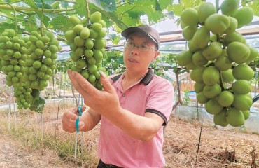 周四?。郝犝限r(nóng)人的“有聲”人生