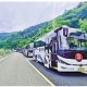 杭州臨安“定制公交”跑出便民惠企“加速度”