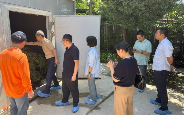 上海市林业总站赴上海野生动物园开展大熊猫专项检查评估工作3.jpg
