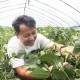 江蘇豐縣：特色產(chǎn)業(yè)賦能 繪就農(nóng)業(yè)發(fā)展新圖景