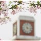 浙江理工大學(xué)發(fā)布本科招生計劃