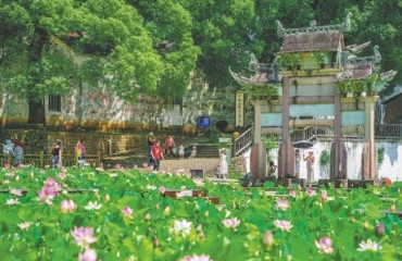 古村荷香引客來