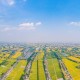 今年我市建設(shè)高標(biāo)準(zhǔn)農(nóng)田2.73萬畝