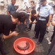家中闖入個(gè)“稀罕客”，原是條娃娃魚