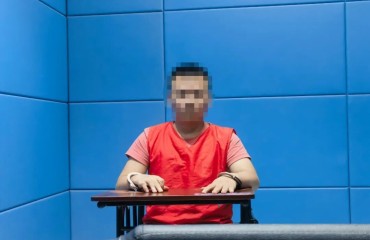 楊某某被合肥警方依法采取刑事強制措施