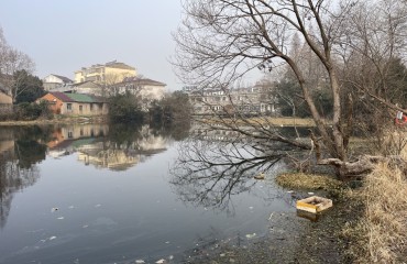 “問題塘口”煥新顏 群眾生活添幸福
