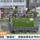 持續(xù)刷屏！央媒省媒高頻聚焦靖江
