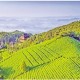 杭州市富陽(yáng)區(qū)上山村：文旅融合繪就鄉(xiāng)村新圖景