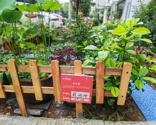 花1_副本