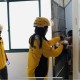 高溫下的“騎”遇記——記者穿梭合肥街巷，感受滾燙的奔波