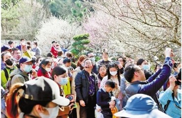 一位梅花匠人的“苦寒”与诗意