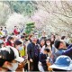 一位梅花匠人的“苦寒”與詩意