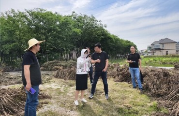 南通審計：聚焦政策落實，助力鄉(xiāng)村振興