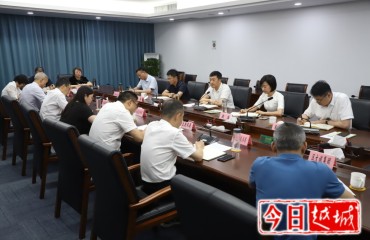 徐军专题研究文商旅活动促消费工作