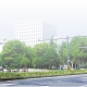 拱墅區(qū)62處點位完成綠化交通隱患治理