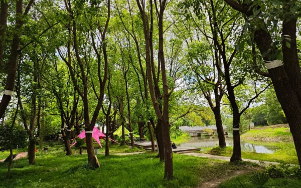 市林業(yè)總站赴金山區(qū)、松江區(qū)和青浦區(qū)調(diào)研林業(yè)產(chǎn)業(yè)工作3.jpg