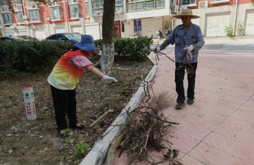 合肥經(jīng)開區(qū)：精耕細作強管理 服務(wù)民生見實效